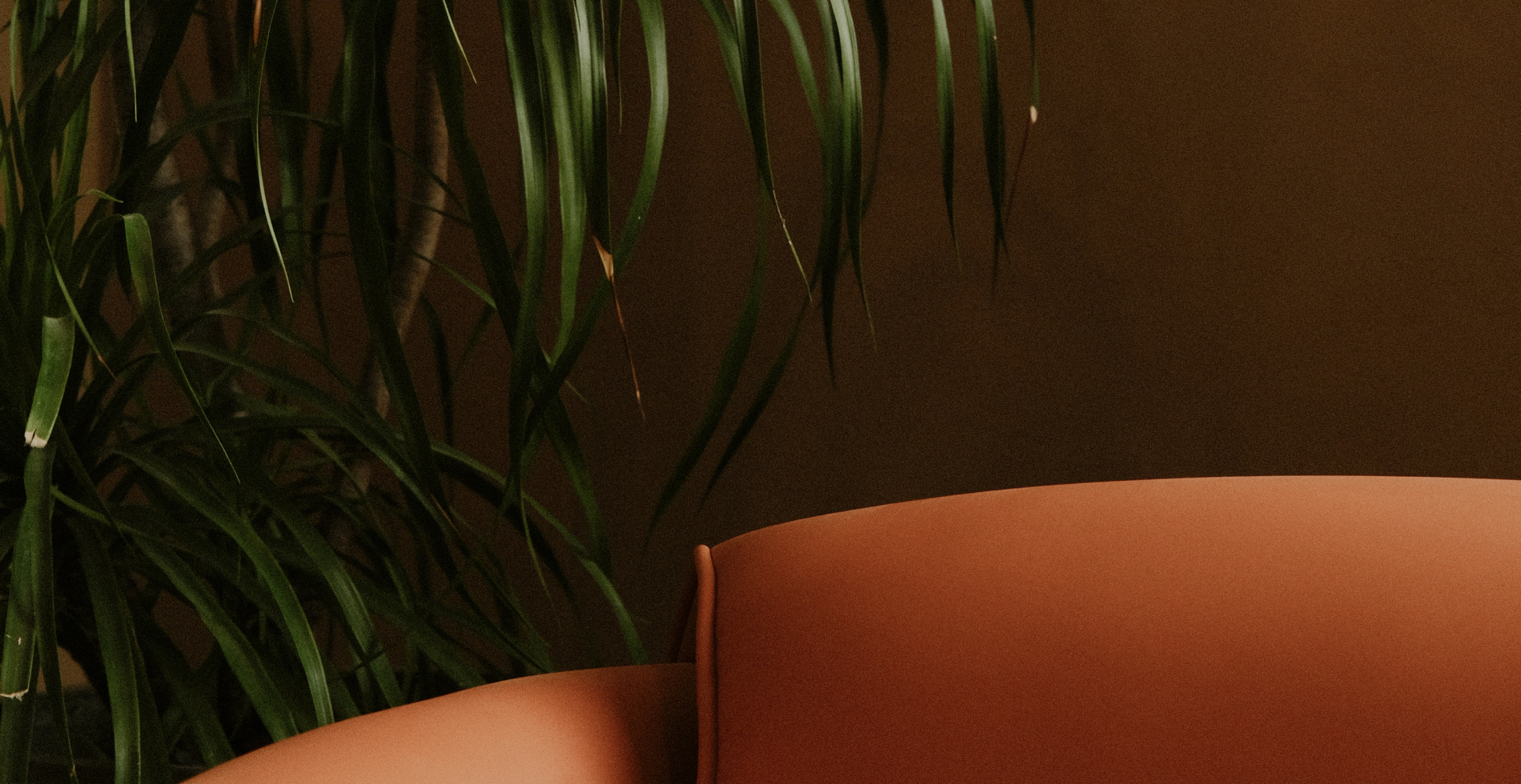 Intro Banner
